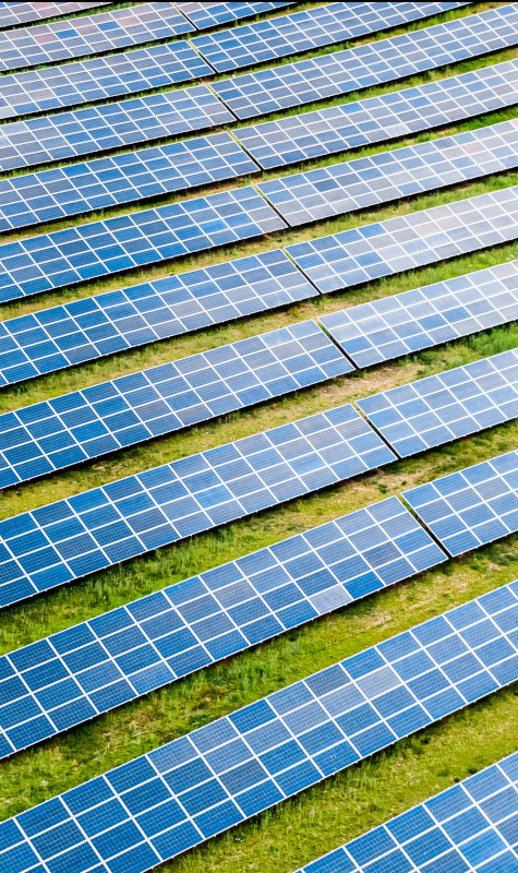 Solar Farm Project